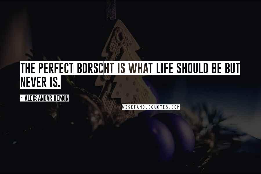 Aleksandar Hemon Quotes: The perfect borscht is what life should be but never is.