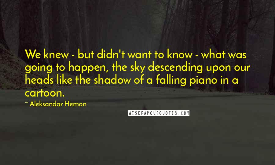 Aleksandar Hemon Quotes: We knew - but didn't want to know - what was going to happen, the sky descending upon our heads like the shadow of a falling piano in a cartoon.