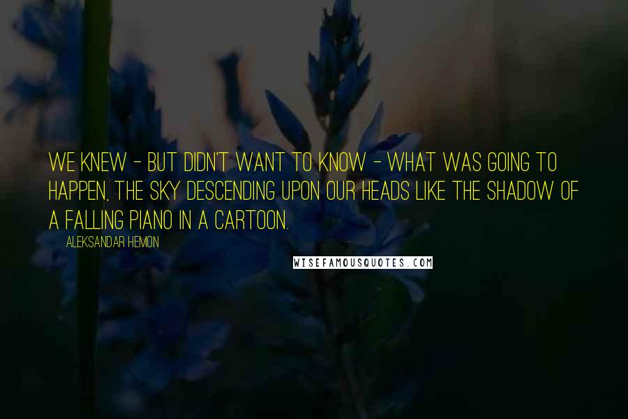 Aleksandar Hemon Quotes: We knew - but didn't want to know - what was going to happen, the sky descending upon our heads like the shadow of a falling piano in a cartoon.