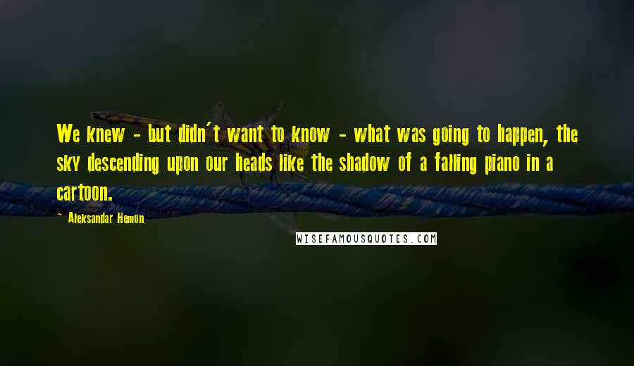 Aleksandar Hemon Quotes: We knew - but didn't want to know - what was going to happen, the sky descending upon our heads like the shadow of a falling piano in a cartoon.