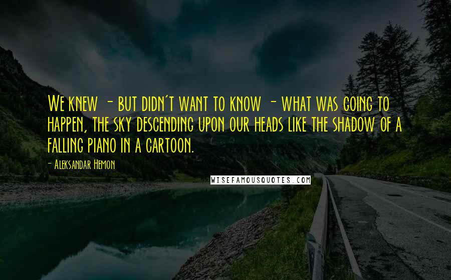 Aleksandar Hemon Quotes: We knew - but didn't want to know - what was going to happen, the sky descending upon our heads like the shadow of a falling piano in a cartoon.