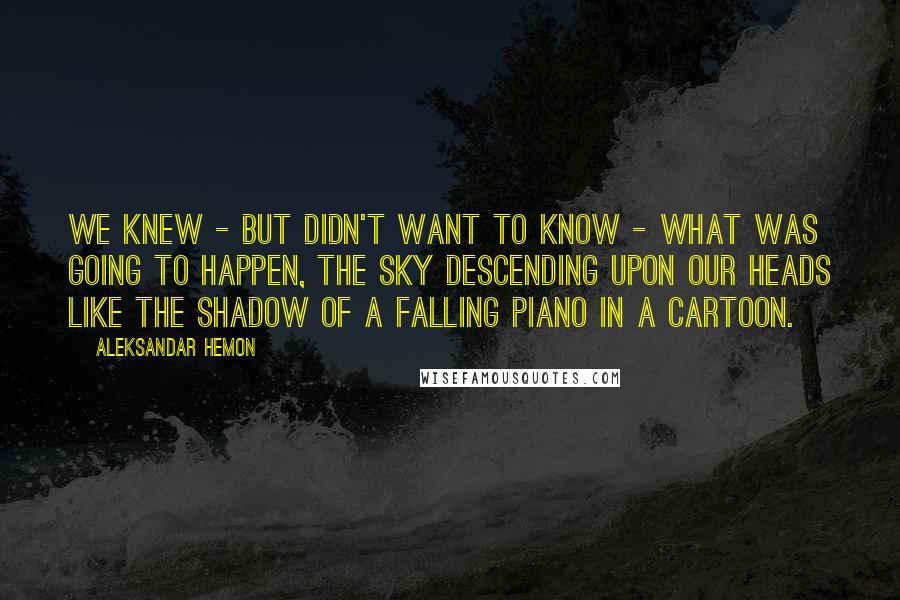 Aleksandar Hemon Quotes: We knew - but didn't want to know - what was going to happen, the sky descending upon our heads like the shadow of a falling piano in a cartoon.