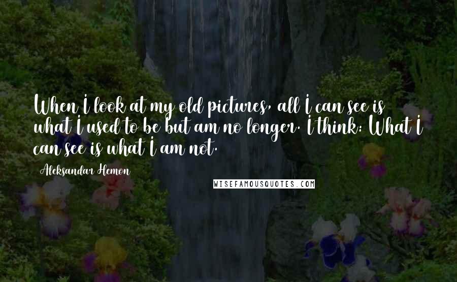 Aleksandar Hemon Quotes: When I look at my old pictures, all I can see is what I used to be but am no longer. I think: What I can see is what I am not.