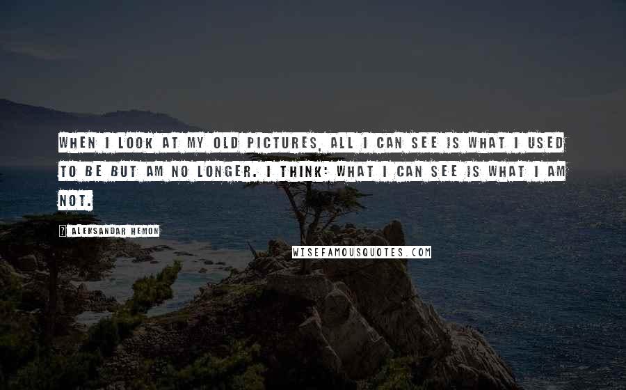 Aleksandar Hemon Quotes: When I look at my old pictures, all I can see is what I used to be but am no longer. I think: What I can see is what I am not.