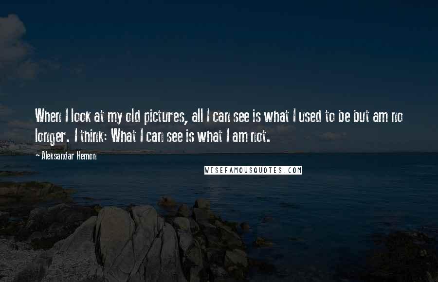 Aleksandar Hemon Quotes: When I look at my old pictures, all I can see is what I used to be but am no longer. I think: What I can see is what I am not.