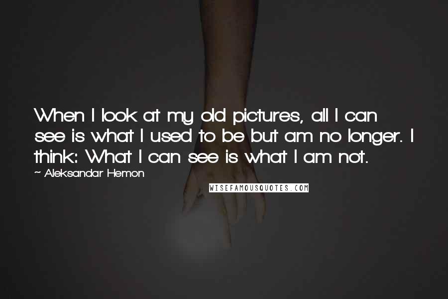 Aleksandar Hemon Quotes: When I look at my old pictures, all I can see is what I used to be but am no longer. I think: What I can see is what I am not.