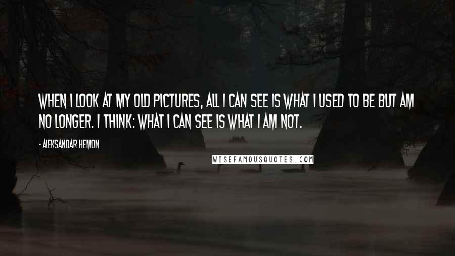 Aleksandar Hemon Quotes: When I look at my old pictures, all I can see is what I used to be but am no longer. I think: What I can see is what I am not.