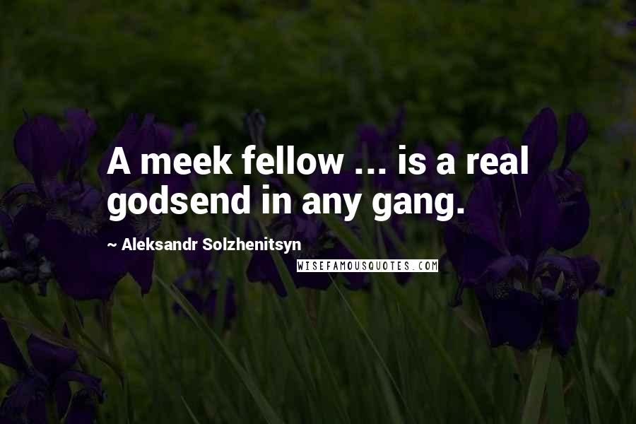 Aleksandr Solzhenitsyn Quotes: A meek fellow ... is a real godsend in any gang.
