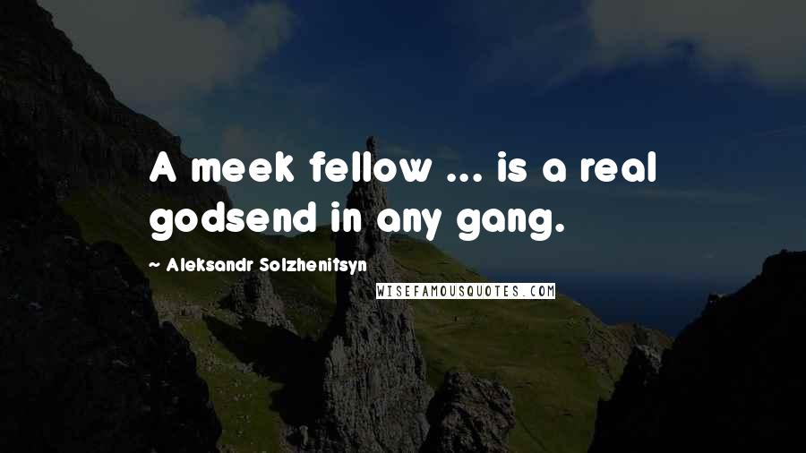 Aleksandr Solzhenitsyn Quotes: A meek fellow ... is a real godsend in any gang.