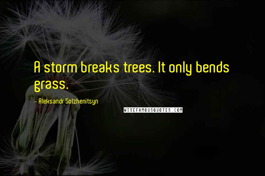 Aleksandr Solzhenitsyn Quotes: A storm breaks trees. It only bends grass.