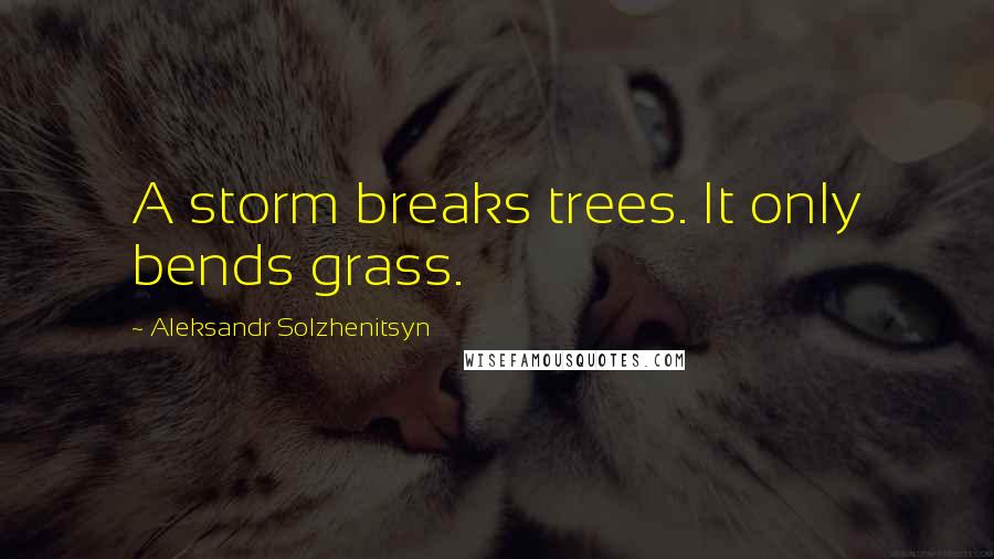 Aleksandr Solzhenitsyn Quotes: A storm breaks trees. It only bends grass.