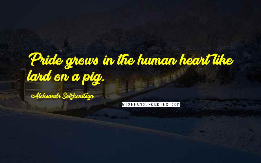 Aleksandr Solzhenitsyn Quotes: Pride grows in the human heart like lard on a pig.