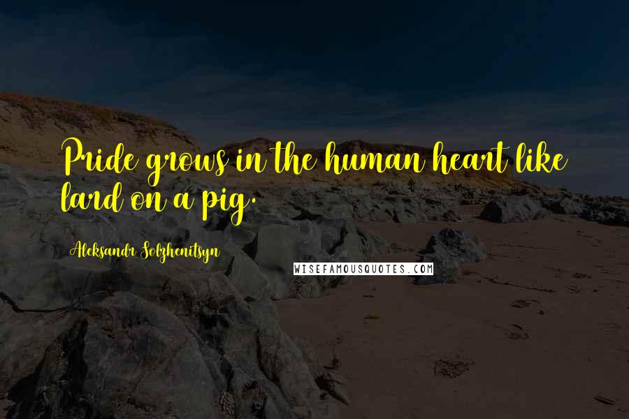 Aleksandr Solzhenitsyn Quotes: Pride grows in the human heart like lard on a pig.
