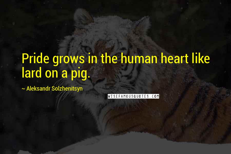 Aleksandr Solzhenitsyn Quotes: Pride grows in the human heart like lard on a pig.