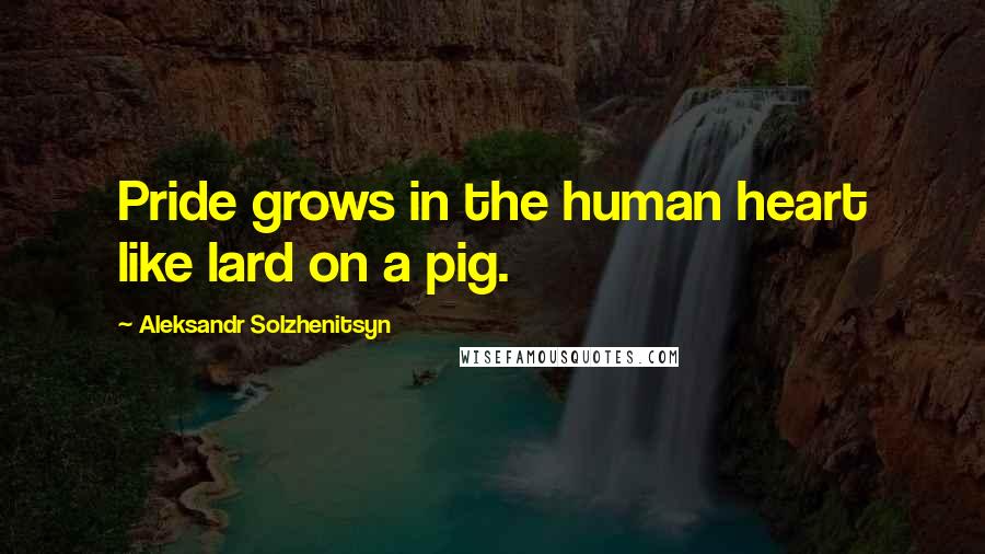 Aleksandr Solzhenitsyn Quotes: Pride grows in the human heart like lard on a pig.