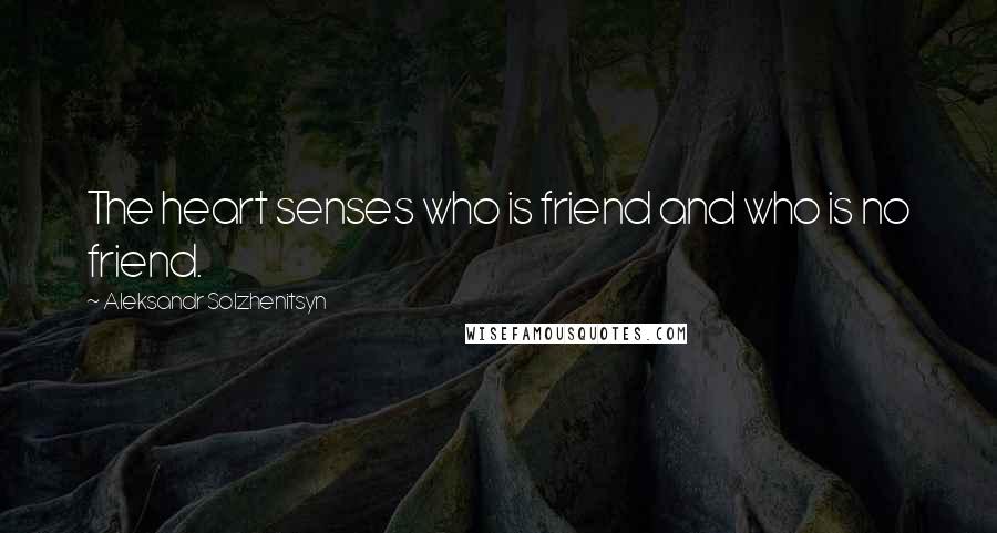 Aleksandr Solzhenitsyn Quotes: The heart senses who is friend and who is no friend.