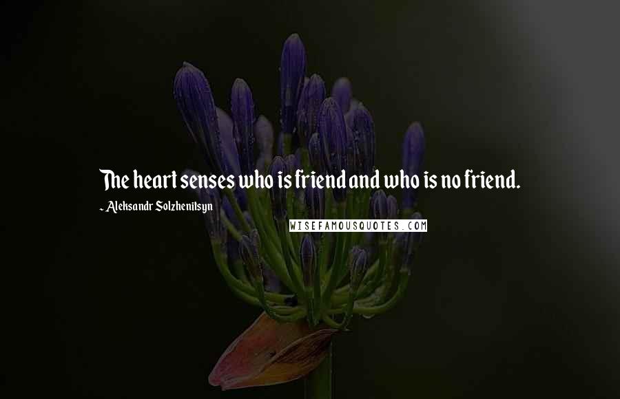 Aleksandr Solzhenitsyn Quotes: The heart senses who is friend and who is no friend.