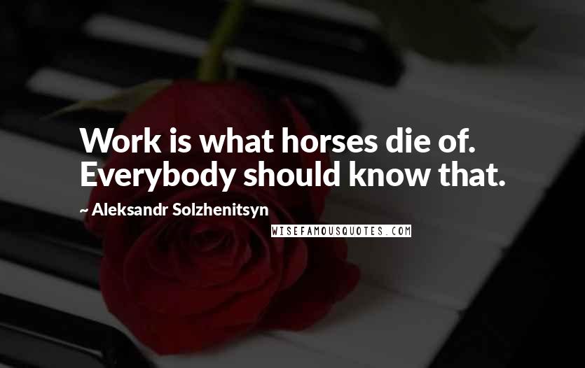 Aleksandr Solzhenitsyn Quotes: Work is what horses die of. Everybody should know that.