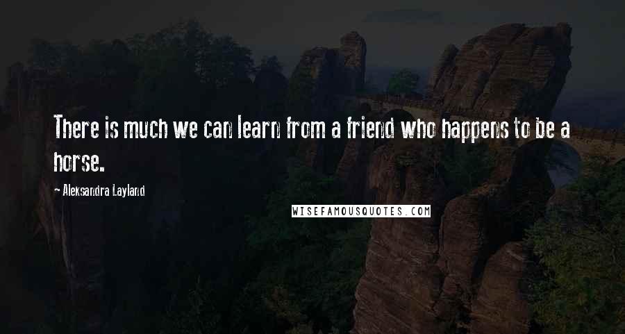 Aleksandra Layland Quotes: There is much we can learn from a friend who happens to be a horse.