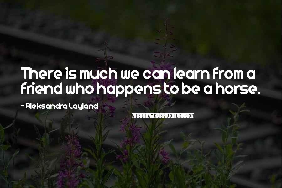 Aleksandra Layland Quotes: There is much we can learn from a friend who happens to be a horse.