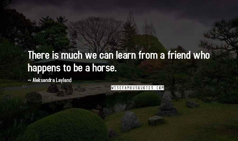 Aleksandra Layland Quotes: There is much we can learn from a friend who happens to be a horse.