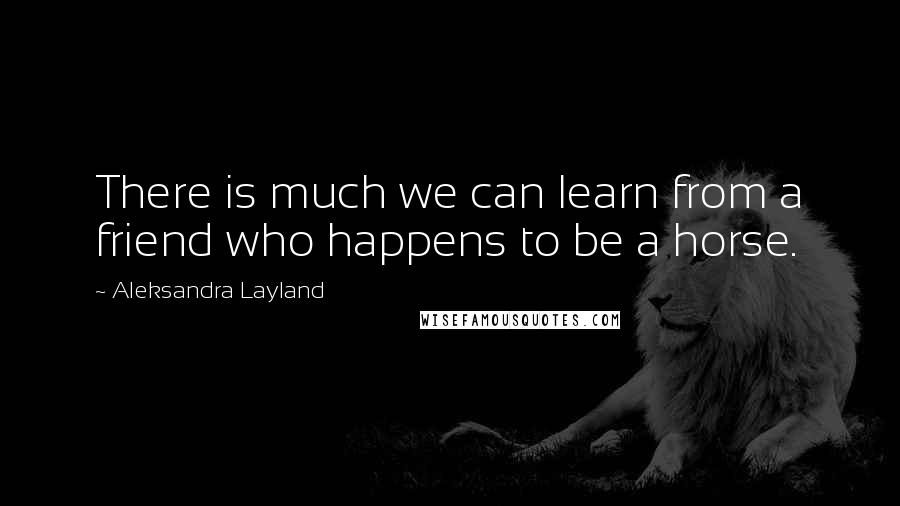 Aleksandra Layland Quotes: There is much we can learn from a friend who happens to be a horse.