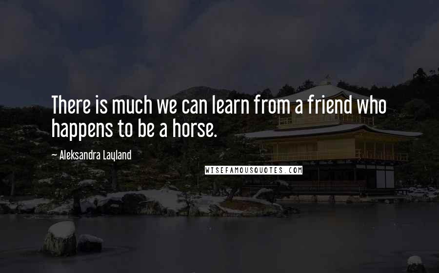 Aleksandra Layland Quotes: There is much we can learn from a friend who happens to be a horse.