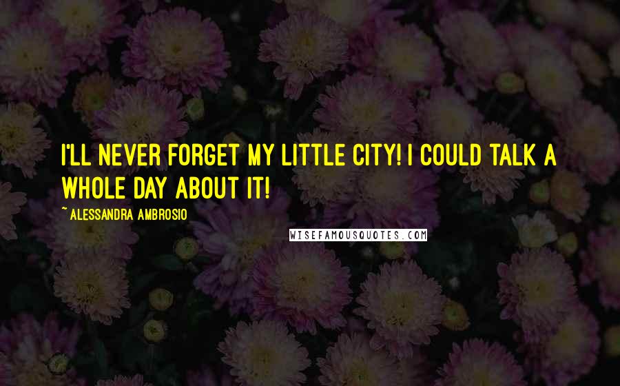 Alessandra Ambrosio Quotes: I'll never forget my little city! I could talk a whole day about it!