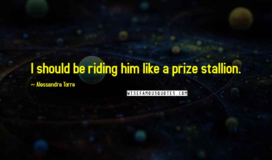 Alessandra Torre Quotes: I should be riding him like a prize stallion.