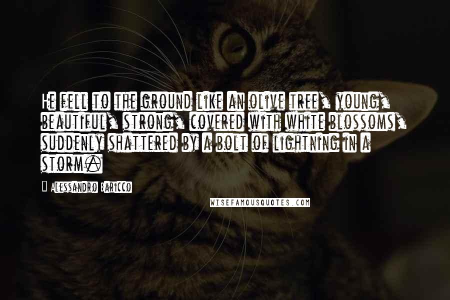 Alessandro Baricco Quotes: He fell to the ground like an olive tree, young, beautiful, strong, covered with white blossoms, suddenly shattered by a bolt of lightning in a storm.