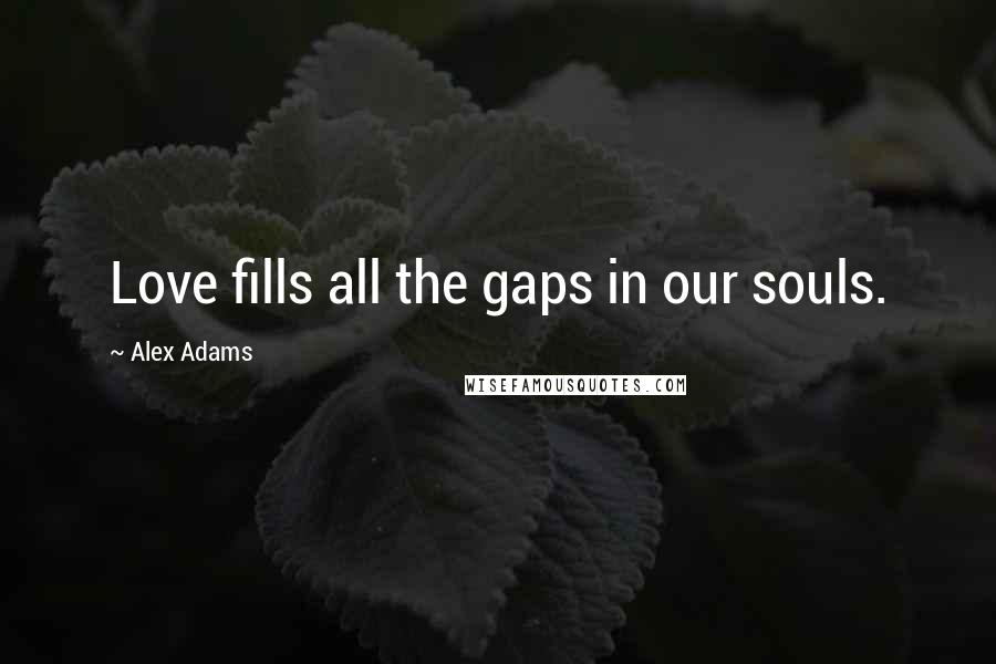 Alex Adams Quotes: Love fills all the gaps in our souls.