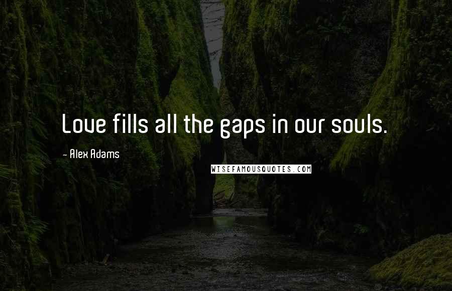 Alex Adams Quotes: Love fills all the gaps in our souls.
