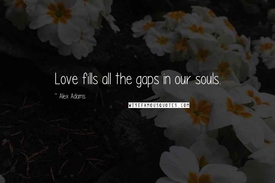 Alex Adams Quotes: Love fills all the gaps in our souls.