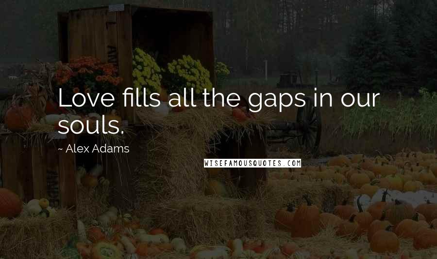 Alex Adams Quotes: Love fills all the gaps in our souls.