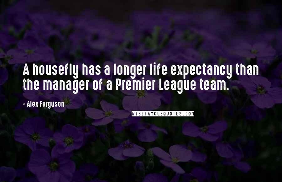 Alex Ferguson Quotes: A housefly has a longer life expectancy than the manager of a Premier League team.