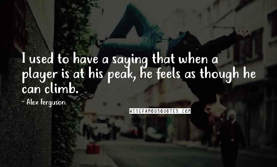 Alex Ferguson Quotes: I used to have a saying that when a player is at his peak, he feels as though he can climb.