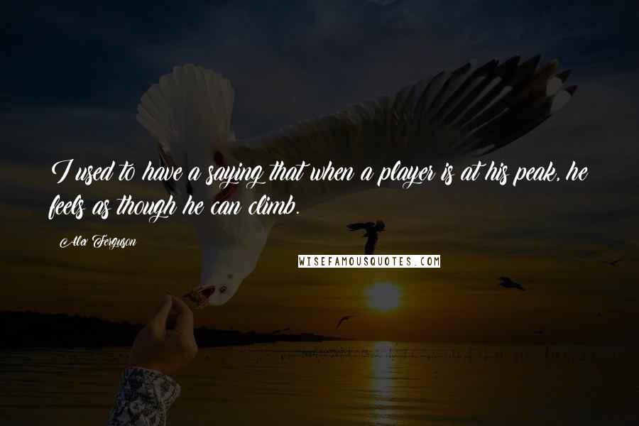 Alex Ferguson Quotes: I used to have a saying that when a player is at his peak, he feels as though he can climb.