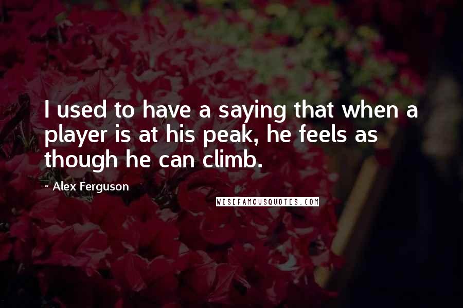 Alex Ferguson Quotes: I used to have a saying that when a player is at his peak, he feels as though he can climb.