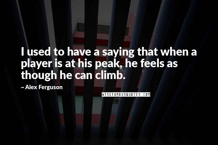 Alex Ferguson Quotes: I used to have a saying that when a player is at his peak, he feels as though he can climb.