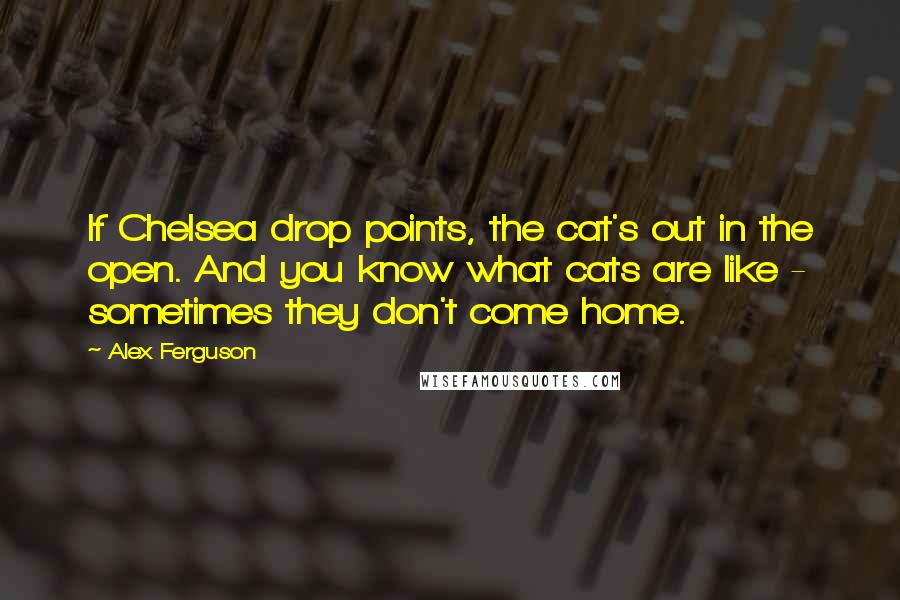 Alex Ferguson Quotes: If Chelsea drop points, the cat's out in the open. And you know what cats are like - sometimes they don't come home.