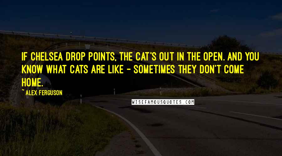 Alex Ferguson Quotes: If Chelsea drop points, the cat's out in the open. And you know what cats are like - sometimes they don't come home.