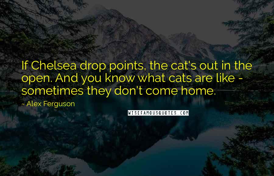 Alex Ferguson Quotes: If Chelsea drop points, the cat's out in the open. And you know what cats are like - sometimes they don't come home.