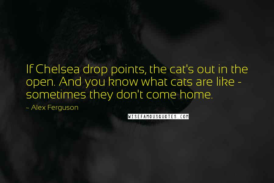 Alex Ferguson Quotes: If Chelsea drop points, the cat's out in the open. And you know what cats are like - sometimes they don't come home.