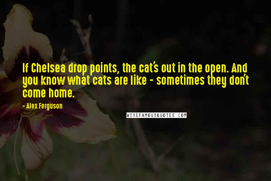 Alex Ferguson Quotes: If Chelsea drop points, the cat's out in the open. And you know what cats are like - sometimes they don't come home.