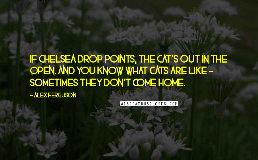 Alex Ferguson Quotes: If Chelsea drop points, the cat's out in the open. And you know what cats are like - sometimes they don't come home.