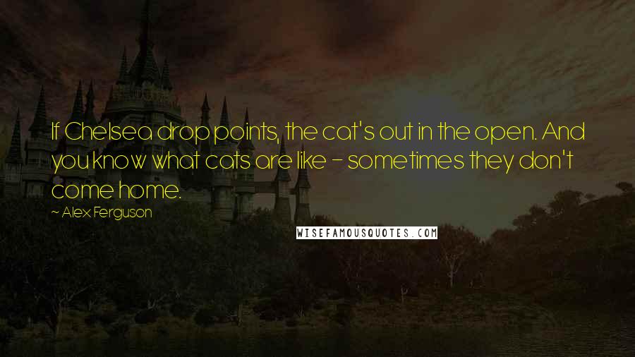 Alex Ferguson Quotes: If Chelsea drop points, the cat's out in the open. And you know what cats are like - sometimes they don't come home.