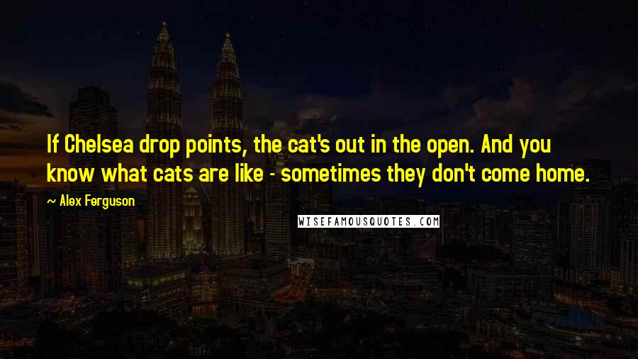 Alex Ferguson Quotes: If Chelsea drop points, the cat's out in the open. And you know what cats are like - sometimes they don't come home.