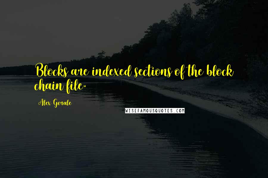 Alex Gorale Quotes: Blocks are indexed sections of the block chain file.