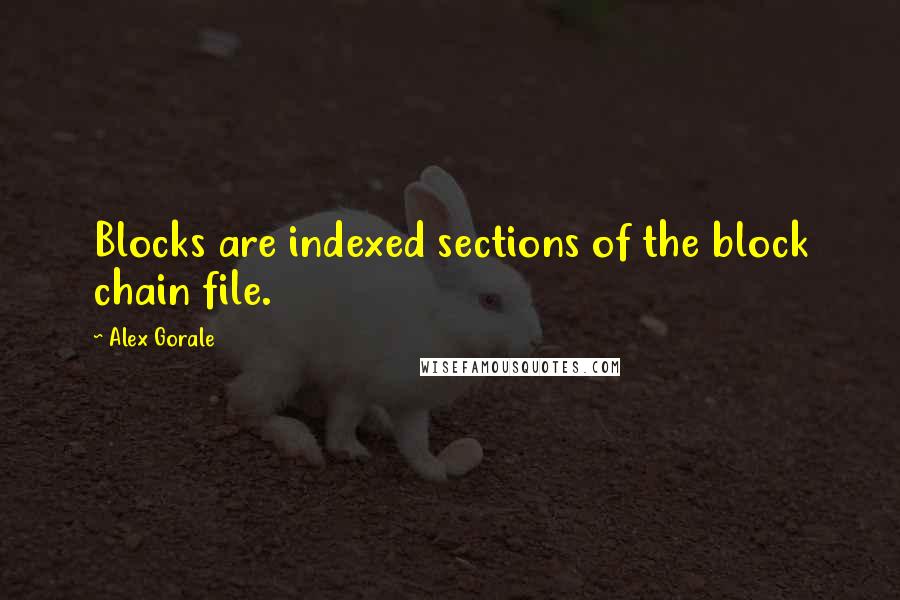Alex Gorale Quotes: Blocks are indexed sections of the block chain file.