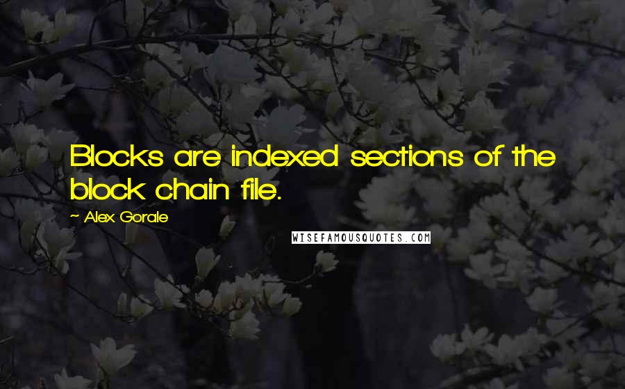 Alex Gorale Quotes: Blocks are indexed sections of the block chain file.